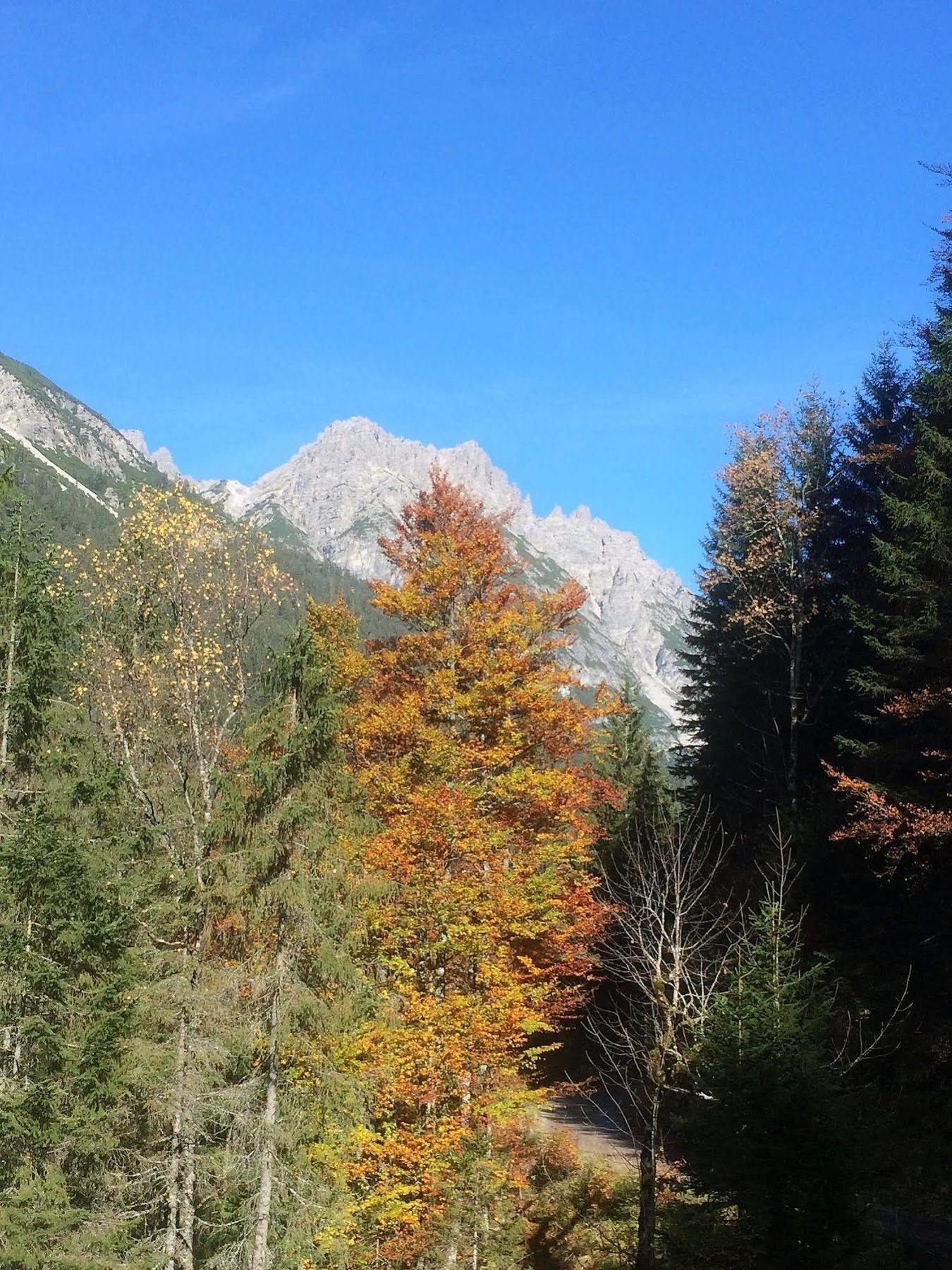 Pension Alpenperle Holzgau Zewnętrze zdjęcie